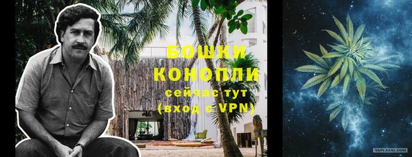 Альфа ПВП Ленинск-Кузнецкий