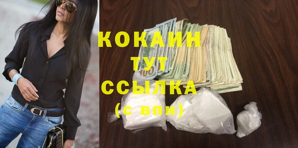 сатива Лагань