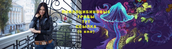 мяу мяу мука Ленск